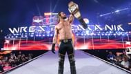 This image will never be topped, so WWE should let it be